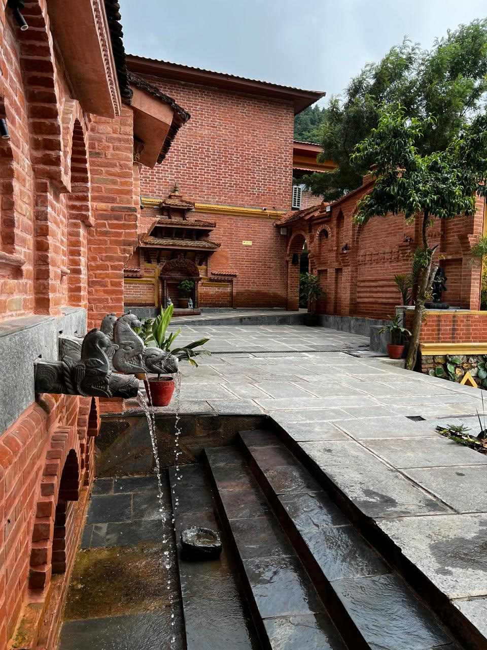 Tour di benessere ayurvedico e spirituale di 5 notti e 6 giorni
