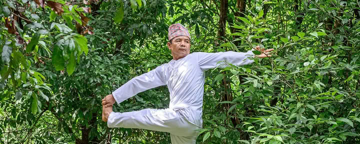 Corso di formazione completo di 30 giorni in Panchakarma e terapia yoga ayurvedica