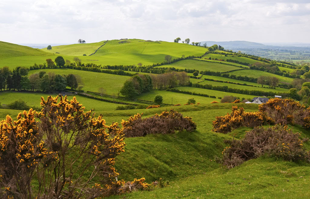Ritiro di yoga per famiglie Just Breathe, Irlanda