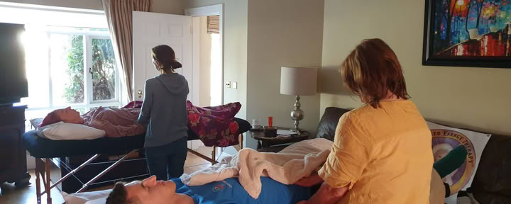 Workshop di Terapia Energetica Integrata di Base
