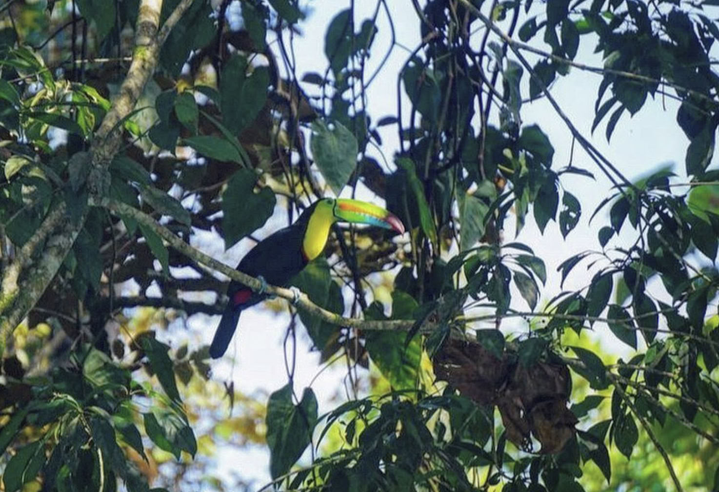 Ritiro MEKAYOGA a Panama
