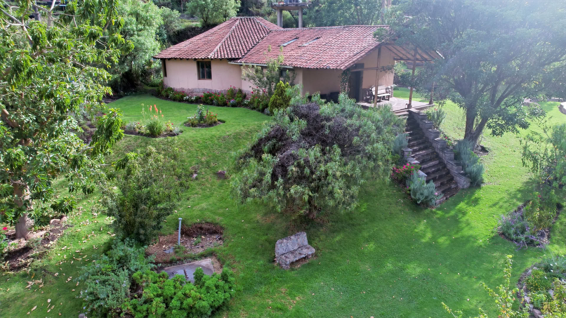 Cerimonia di Ayahuasca nella Valle Sacra