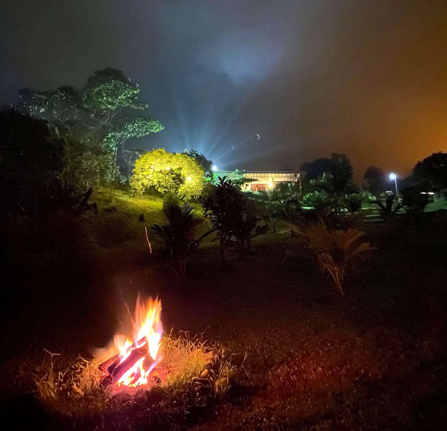 Cerimonia della Terra Vivente: Viaggio Interiore e Ritmo Naturale