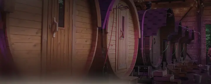 Festival della Sauna di Toronto
