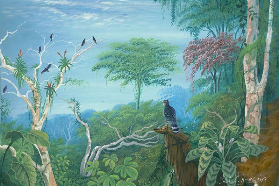 2–7 febbraio 2027 | esperienza di campeggio nella foresta pluviale di Cocoterra, Costa Rica