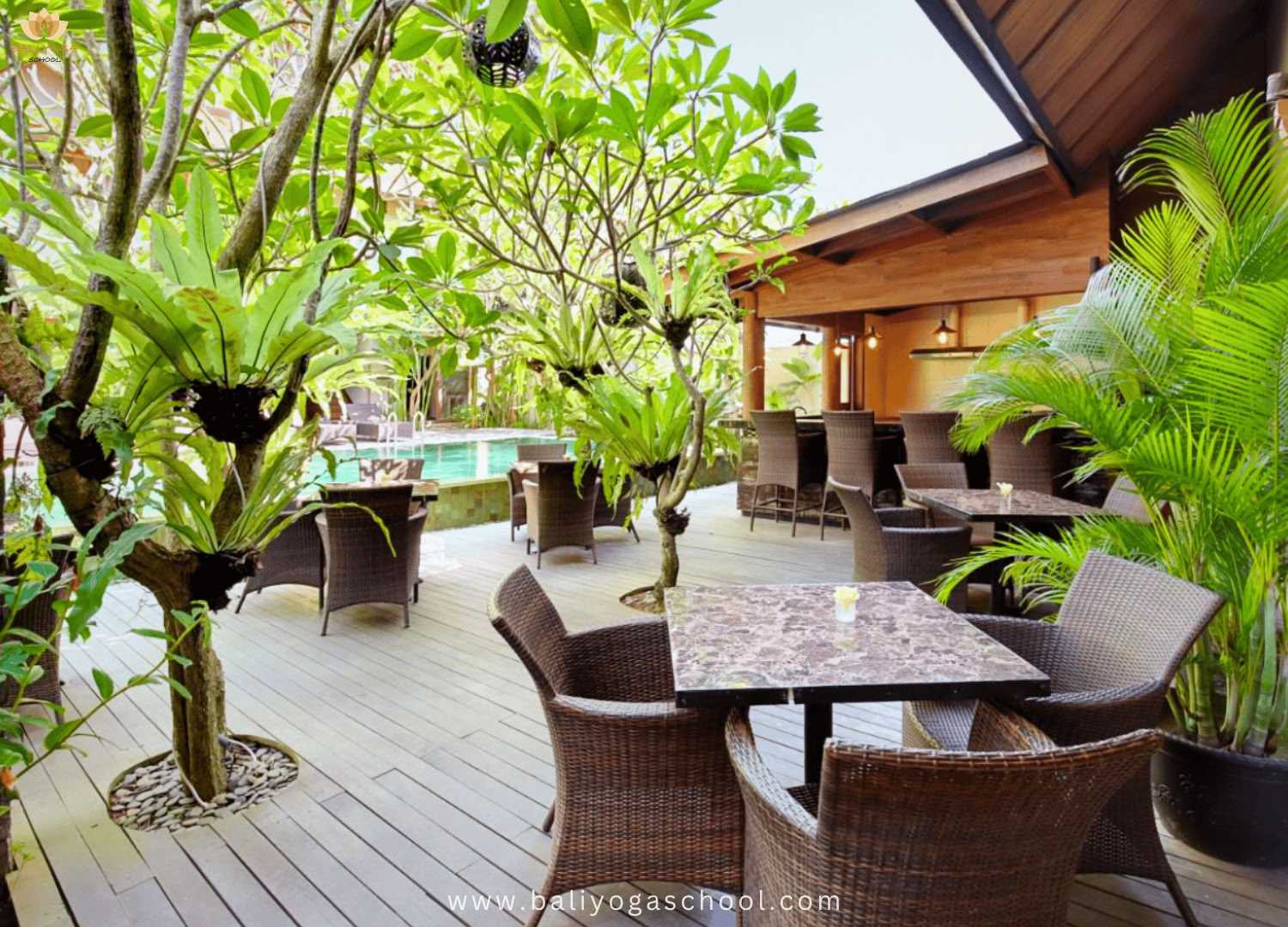 Formazione insegnanti di yoga di 50 / 100 / 200 ore a Ubud e Uluwatu