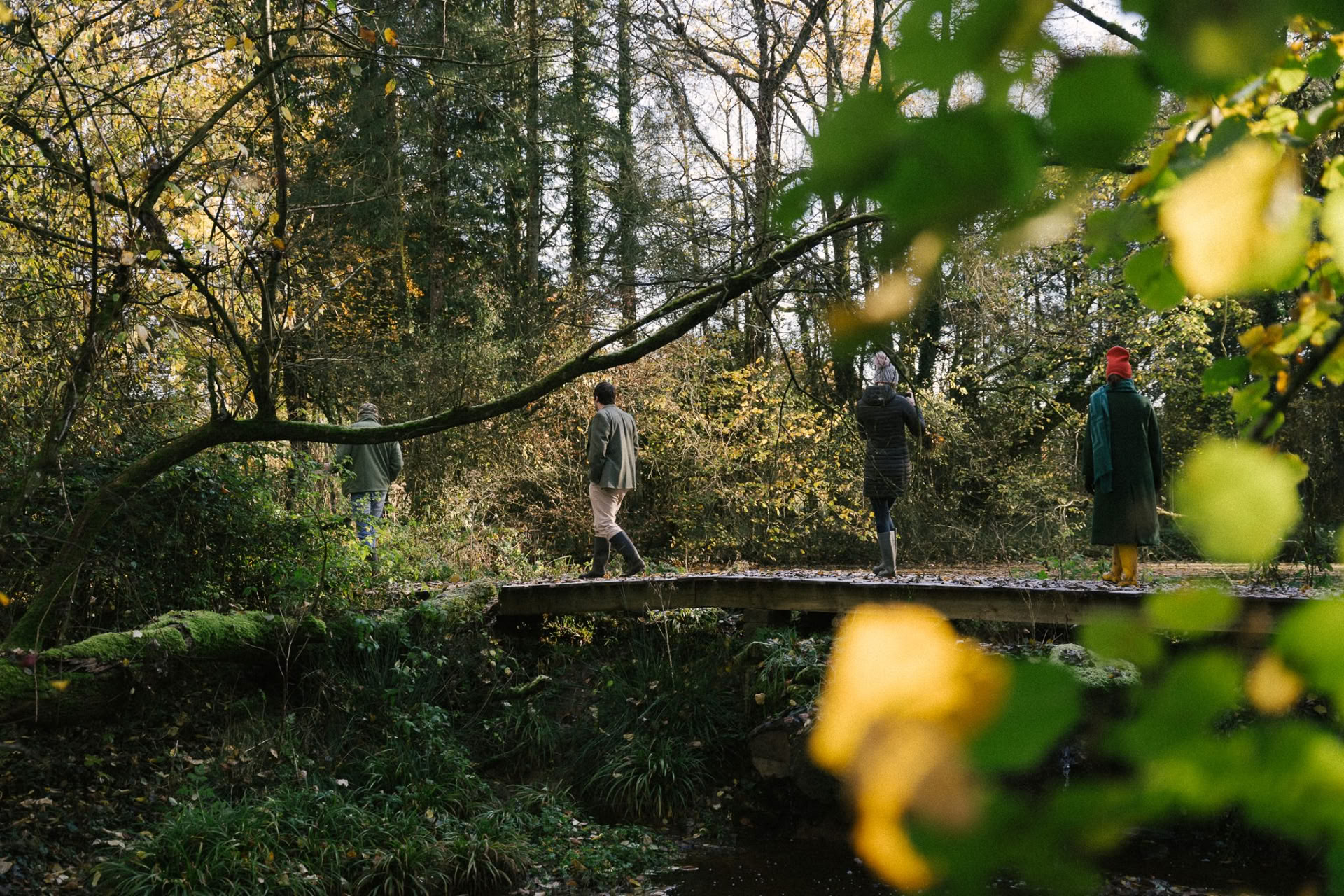 Passeggiata di Rewilding Guidata