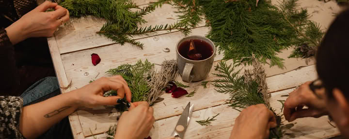 Creazione Selvaggia