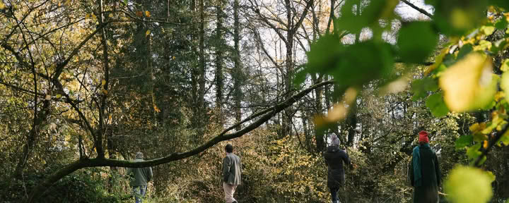 Caccia al tesoro nel bosco