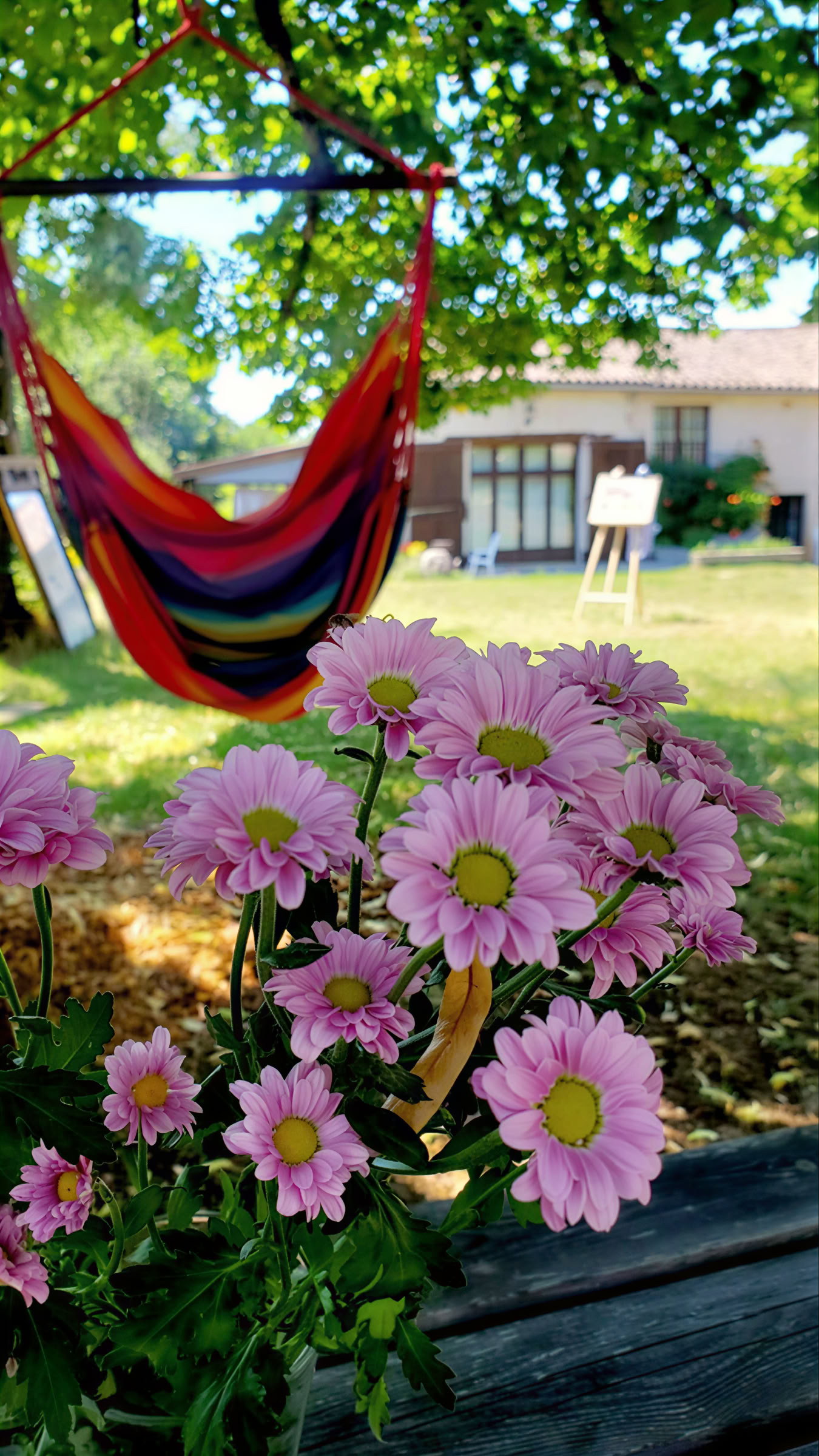 Ritiro di yoga e meditazione nel sud della Francia