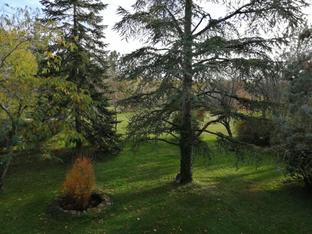 Ritiro di yoga e meditazione nel sud della Francia