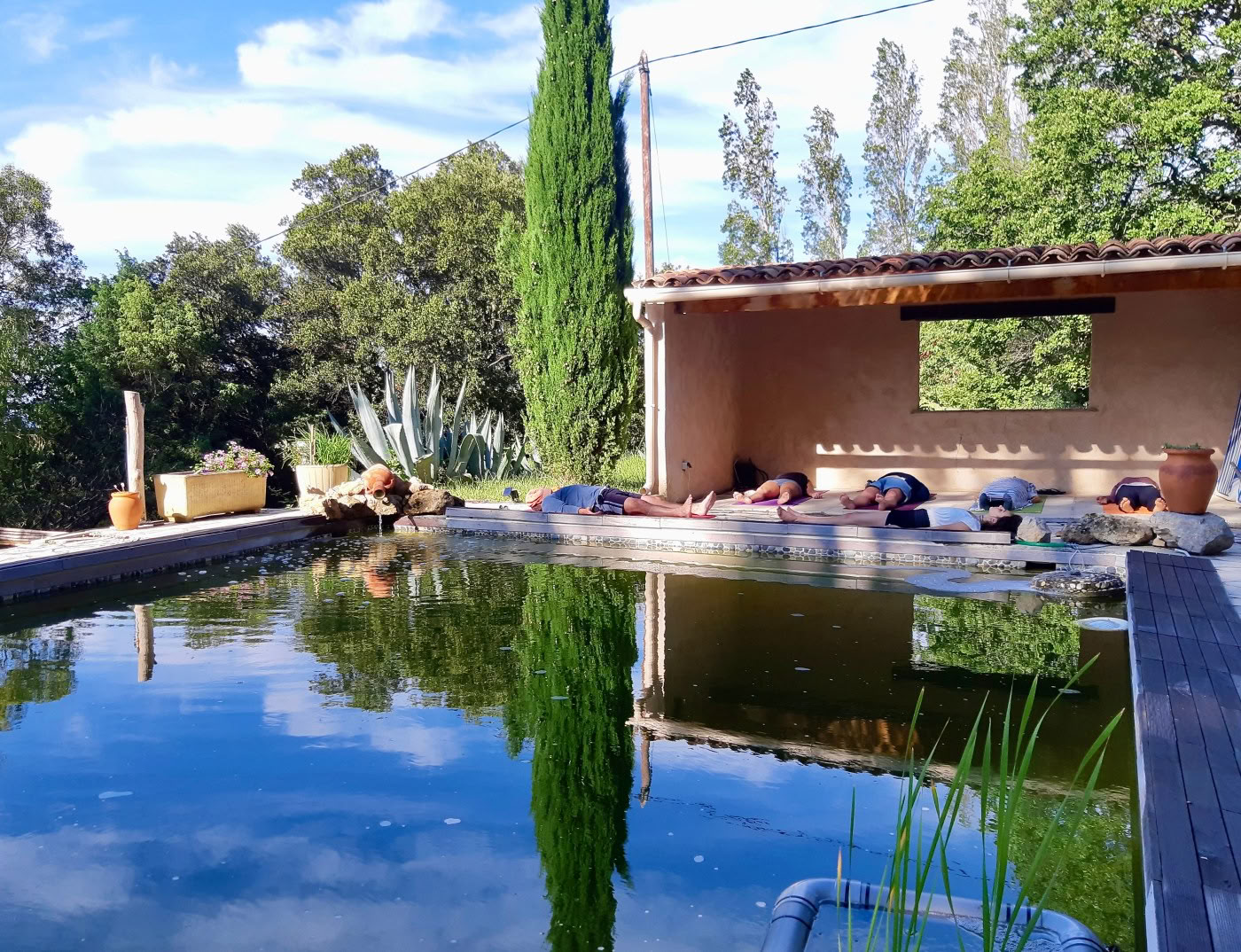 Programma di succhi detox