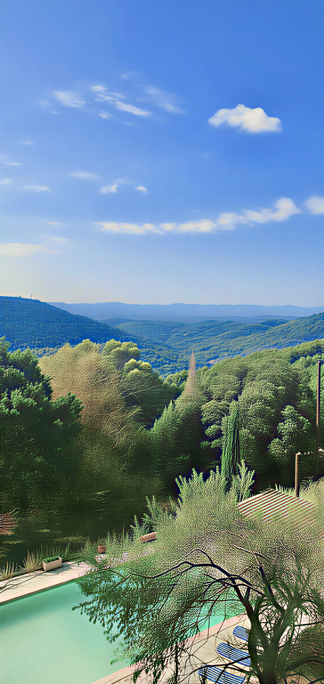 Programma di succhi detox