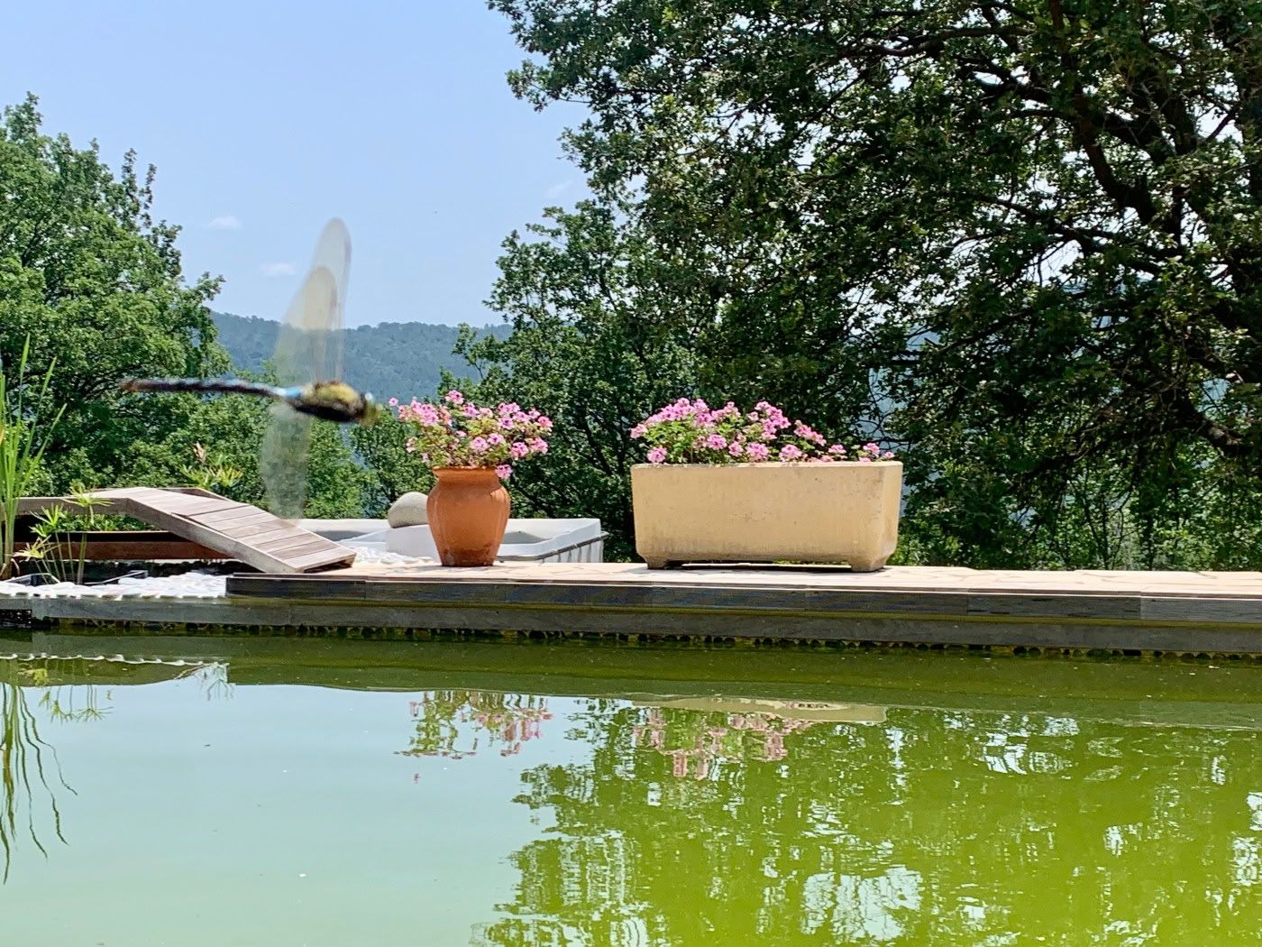 Programma di succhi detox