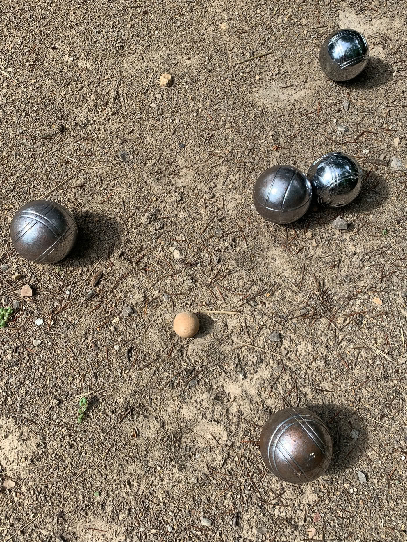 Programma di percezione