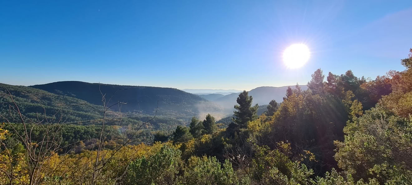 Ritiro detox