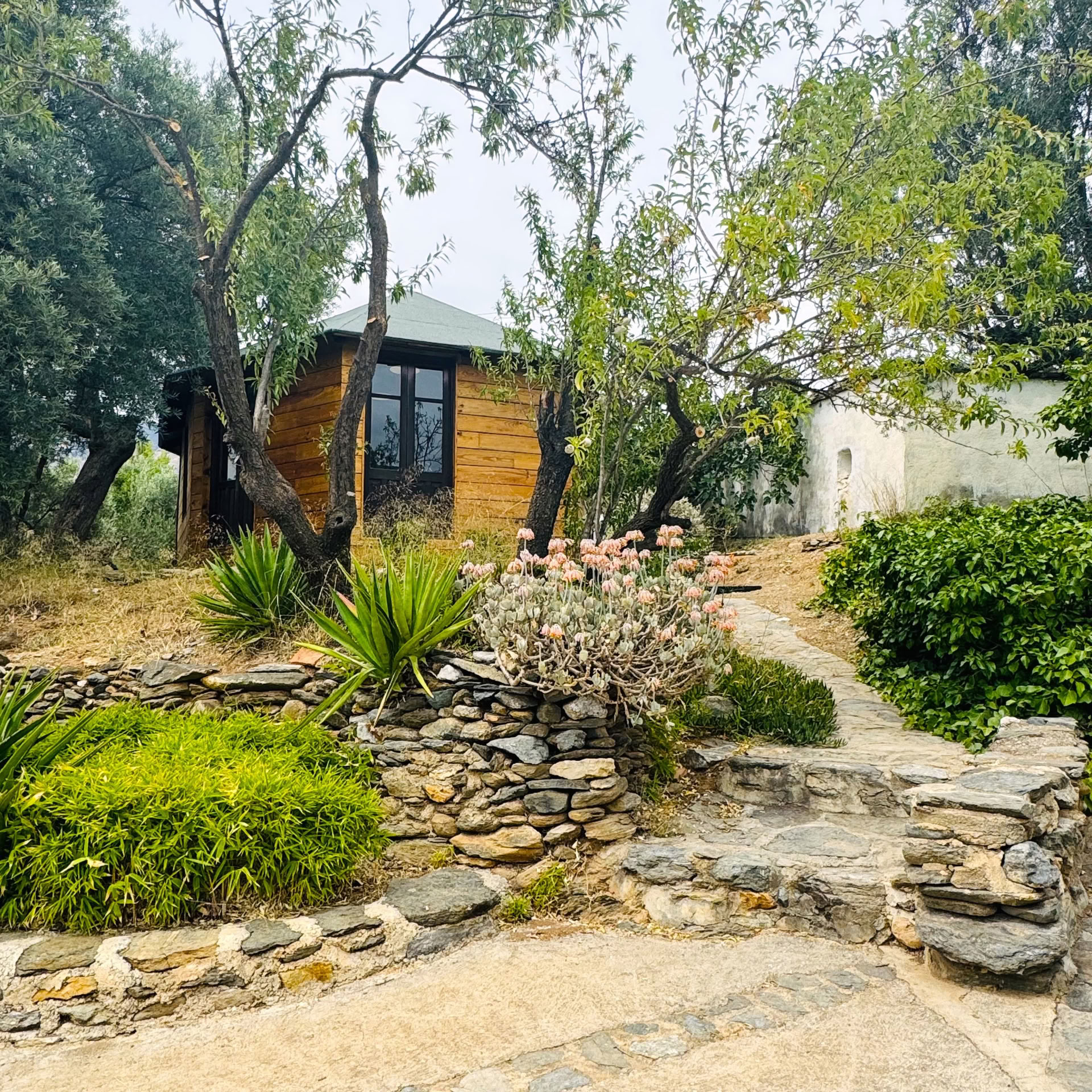 Ritiro di 6 giorni nella natura e yoga