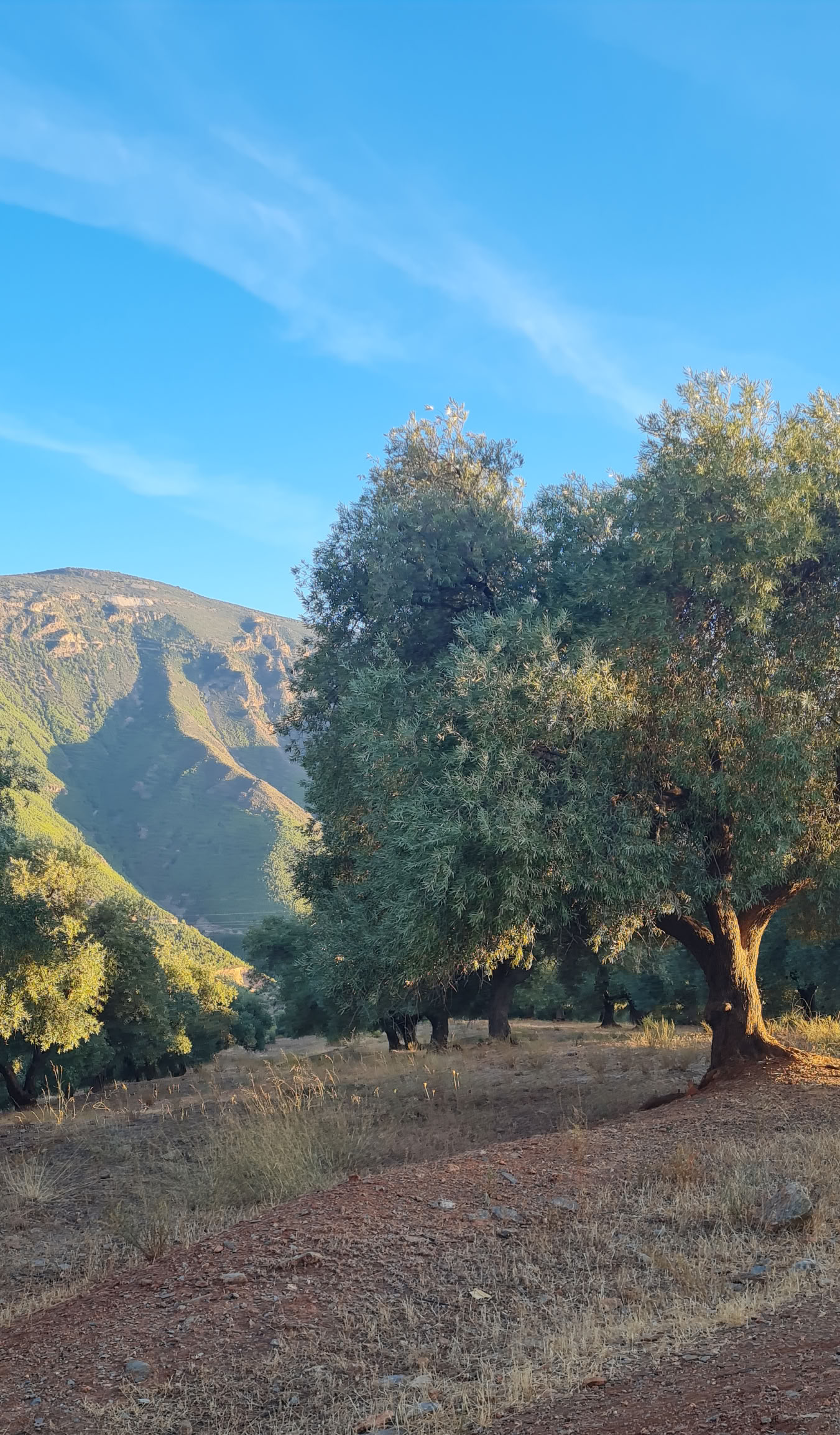 Ritiro di 6 giorni nella natura e yoga