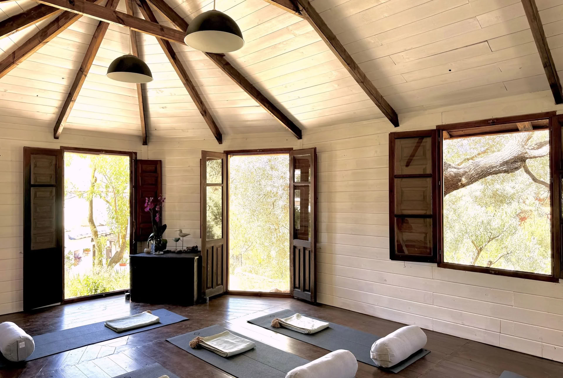 Corso di Yin Yoga di 50 ore - Ottobre