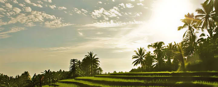 Ritiro di Yoga a Bali