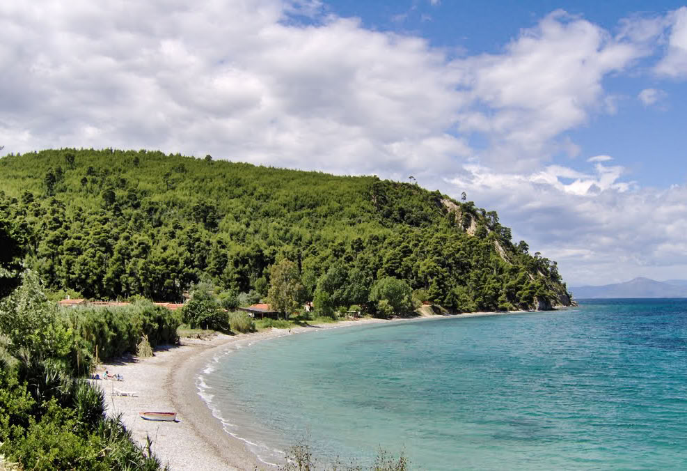 Ritiro Detox