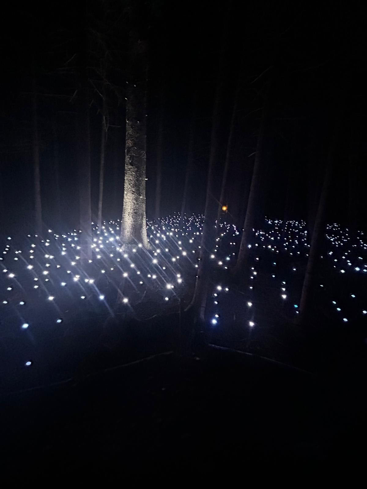 L’esperienza di glamping Akadi Lumina