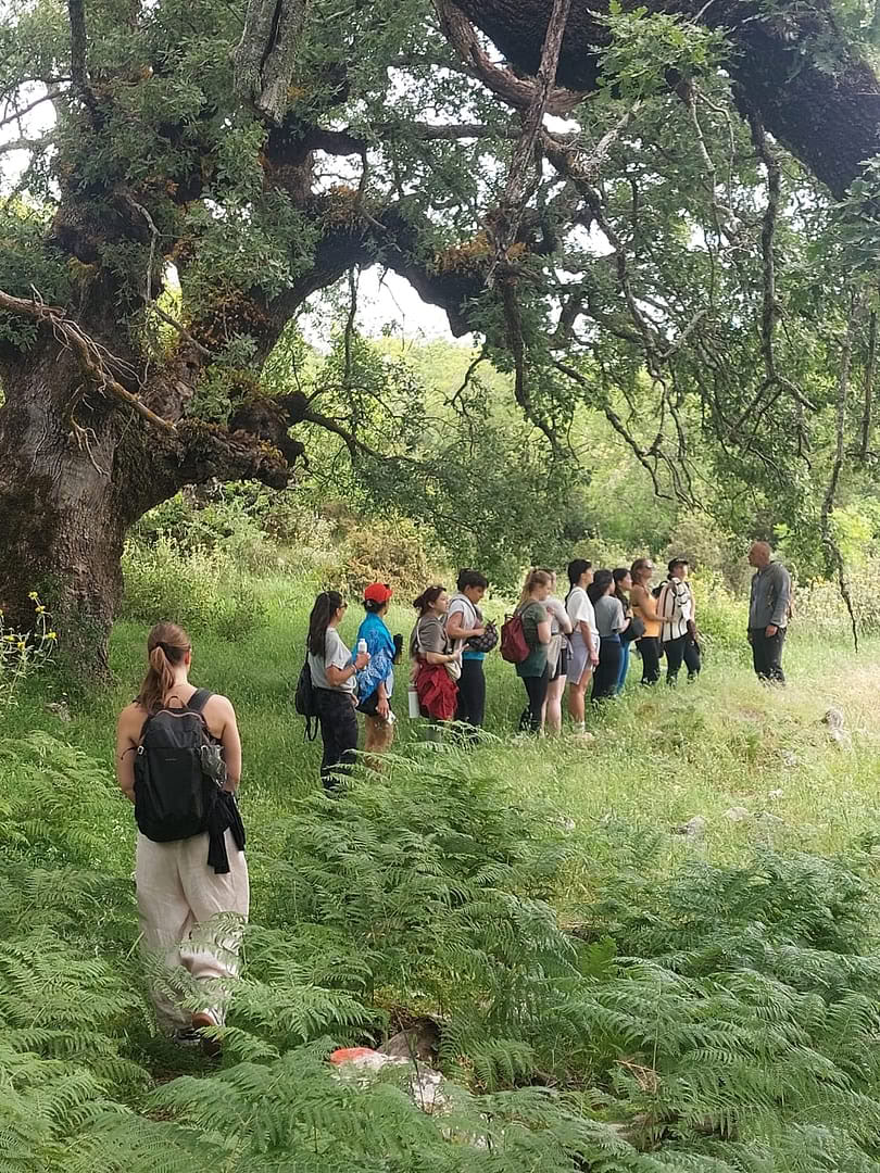 Ritiro di Tai Chi e Qi Gong