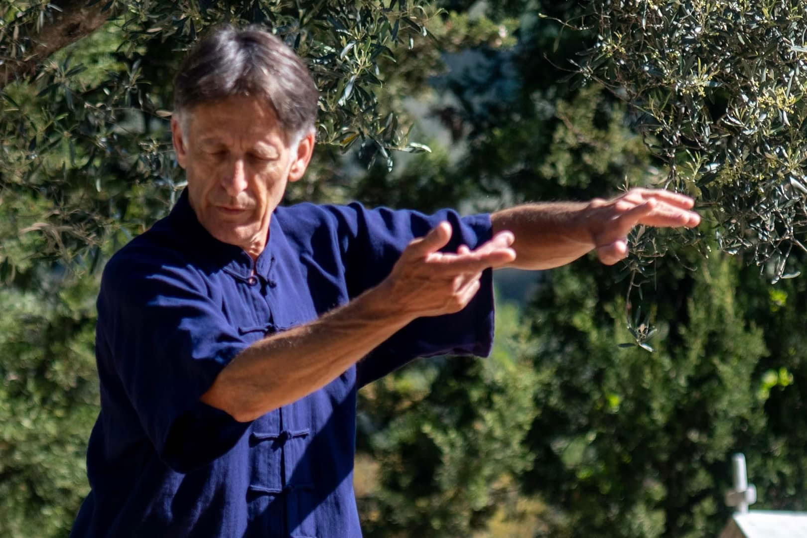 Ritiro di Tai Chi e Qi Gong