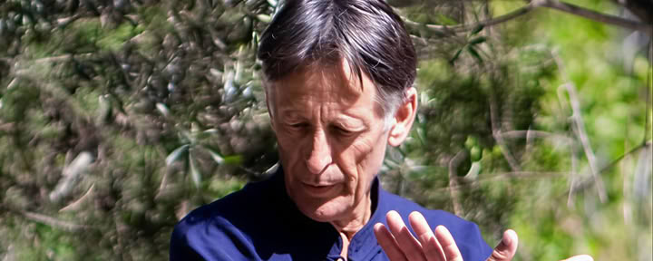 Ritiro di Tai Chi e Qi Gong