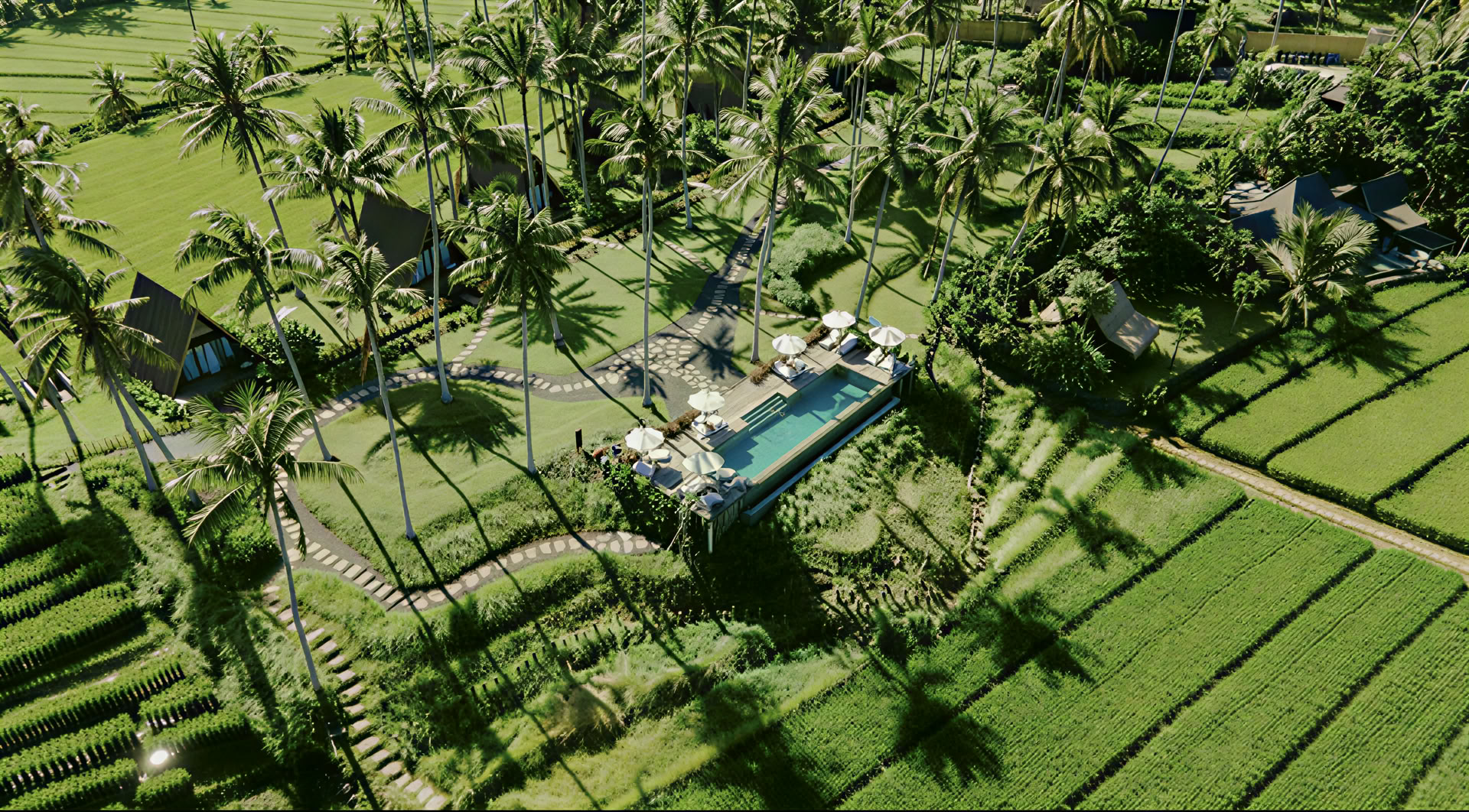 Ritiro di Yoga, Natura e Cultura Balinese