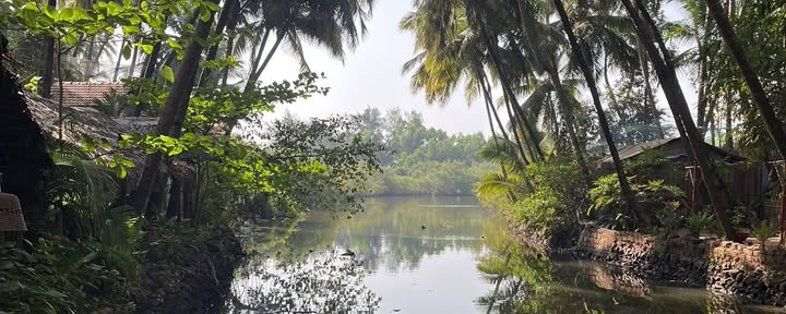 Ritiro di Yoga a Goa