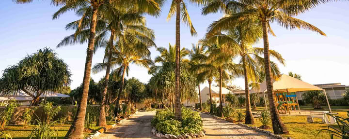 Istruttori di apnea e breathless solo a Lady Elliot Island