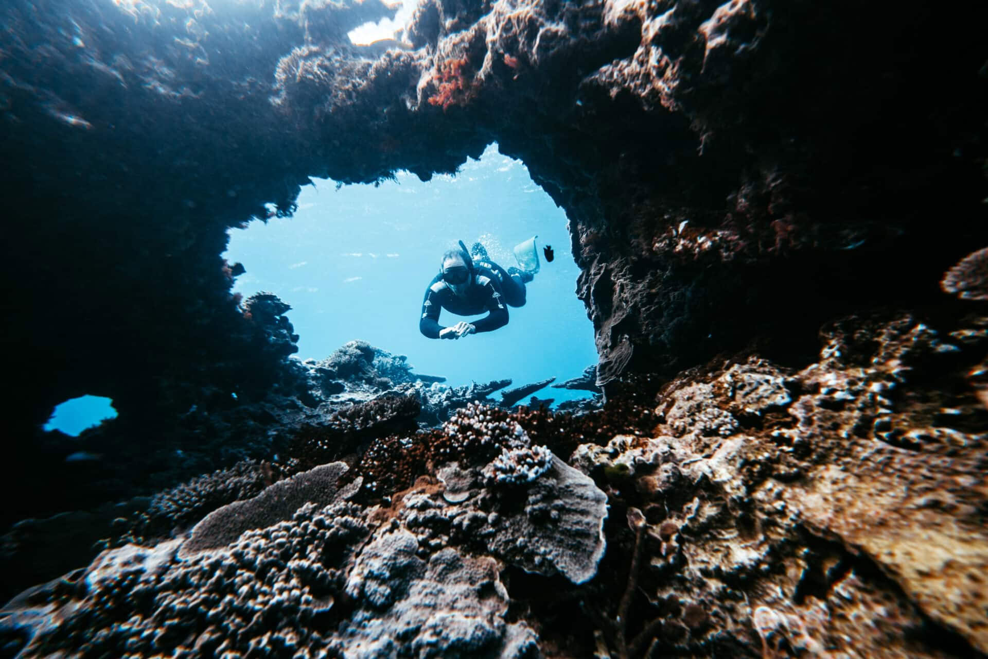 Immersione in apnea a Lady Elliot Island e solo su invito