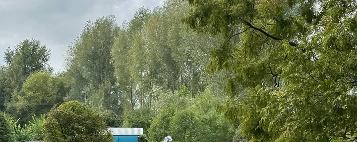 Flusso Vinyasa