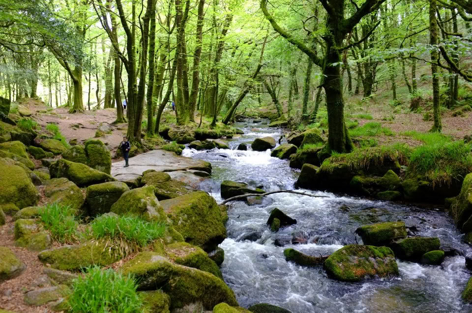 Ritiro di 5 Notti di Meditazione e Mindfulness