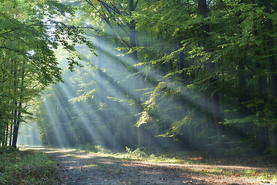 Massaggio a schiena, collo e spalle & Reiki