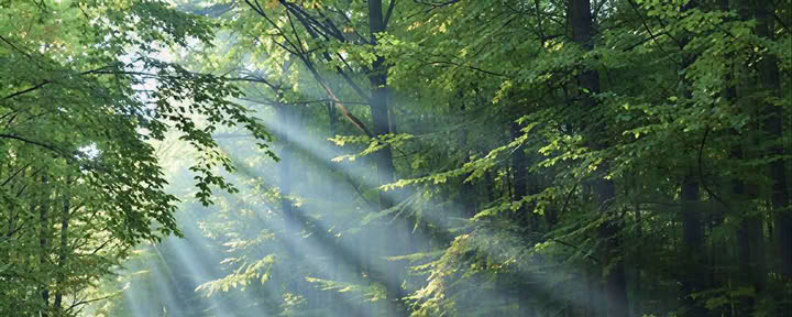 Corso per Praticanti di Reiki 2
