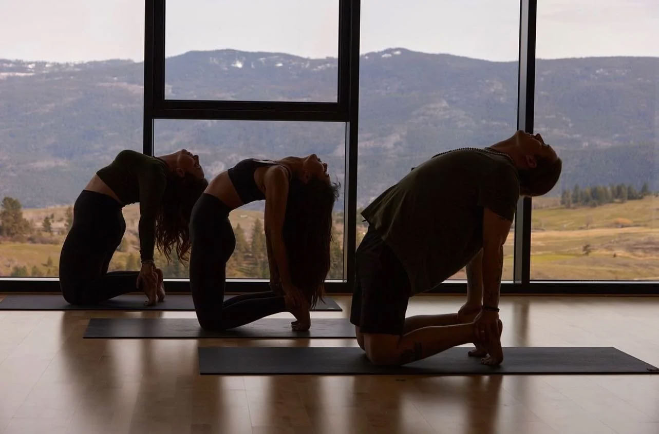 Flow sul molo: yoga e meditazione sul lago Okanagan!