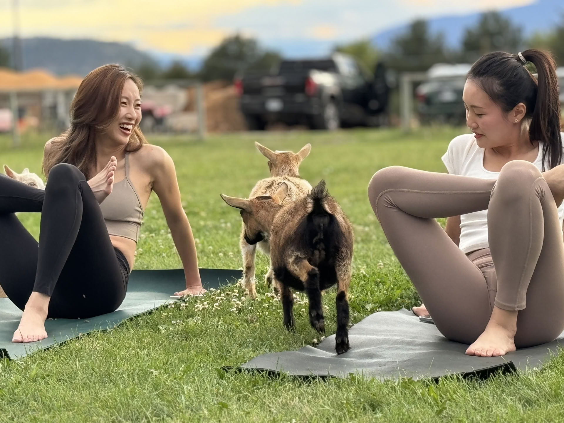 Flow sul molo: yoga e meditazione sul lago Okanagan!