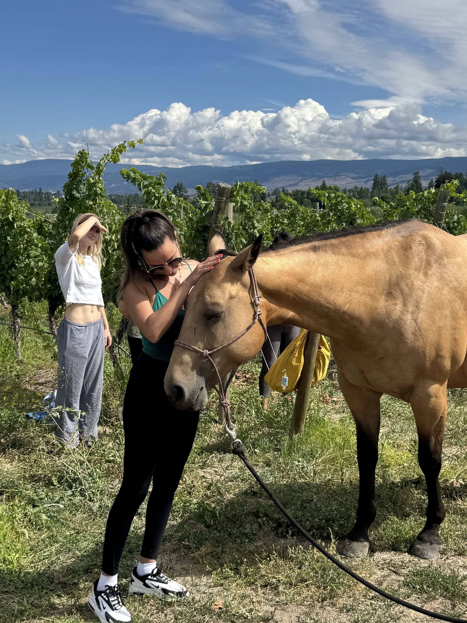 Divina Dolce Vita: Ritiro di Yoga di Lusso nel Cuore della Toscana