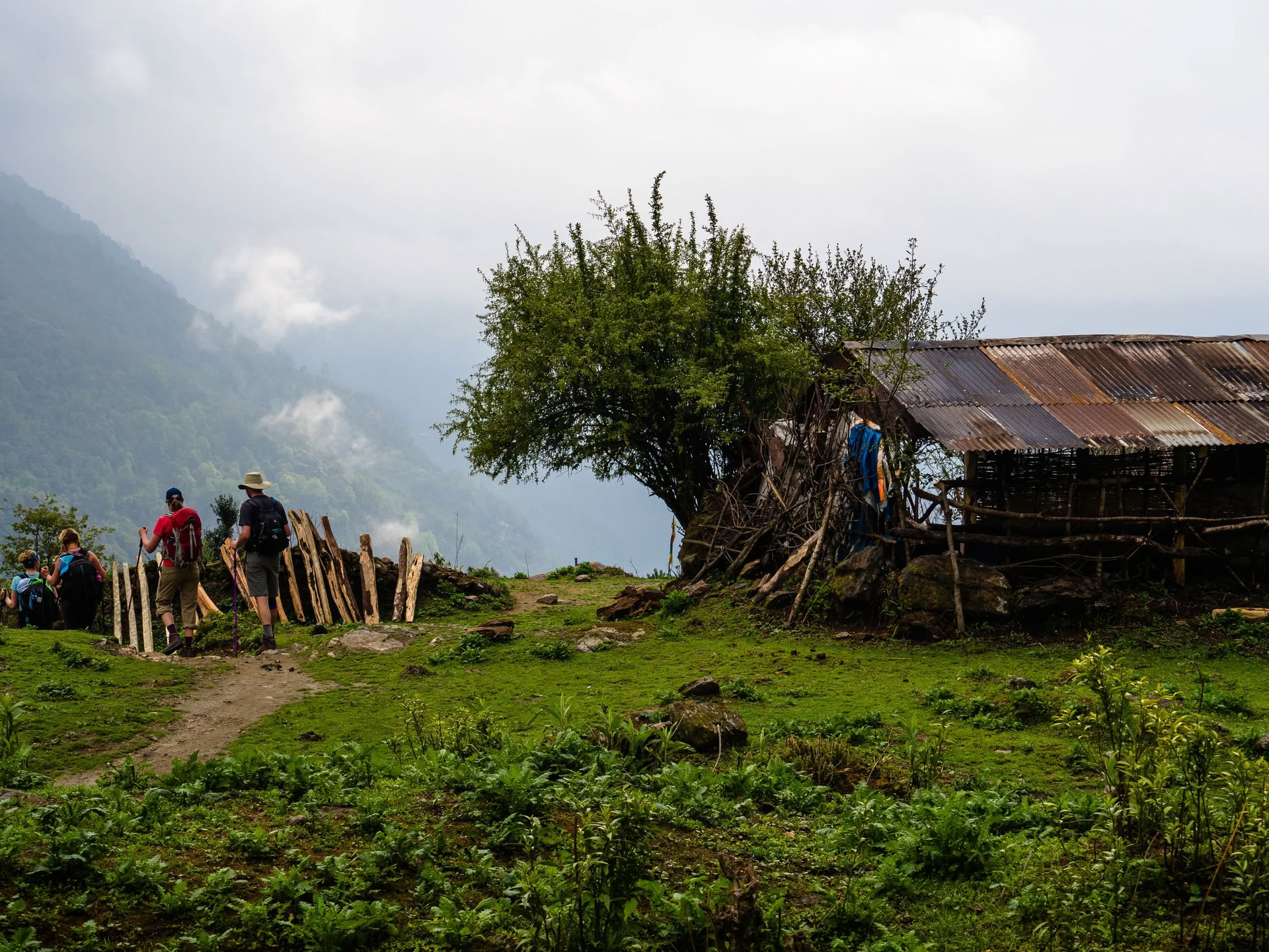 Campo Base dell'Annapurna