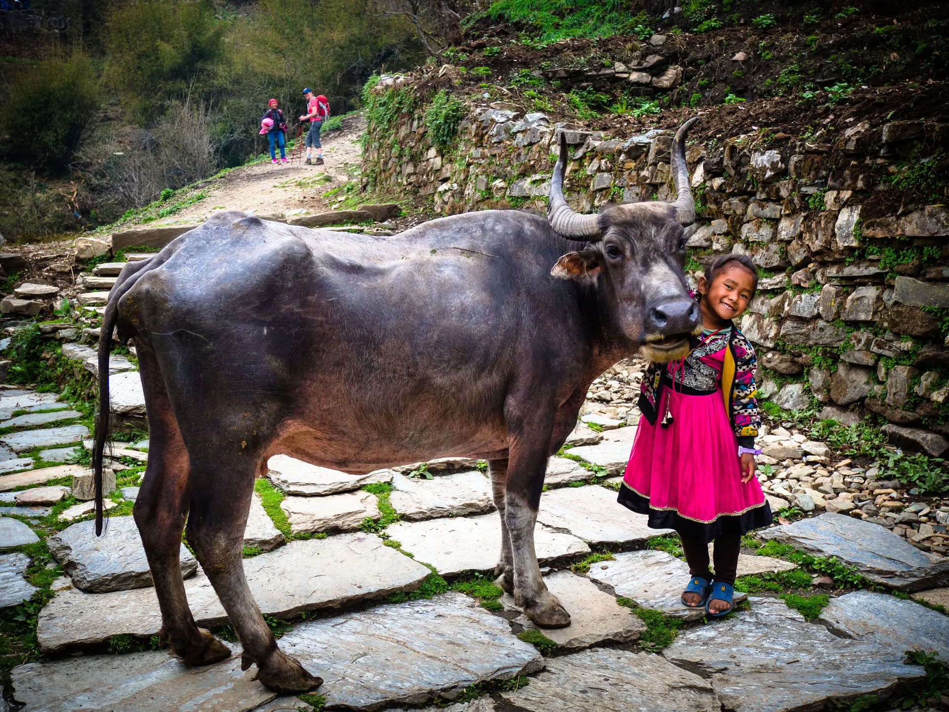 Campo Base dell'Annapurna