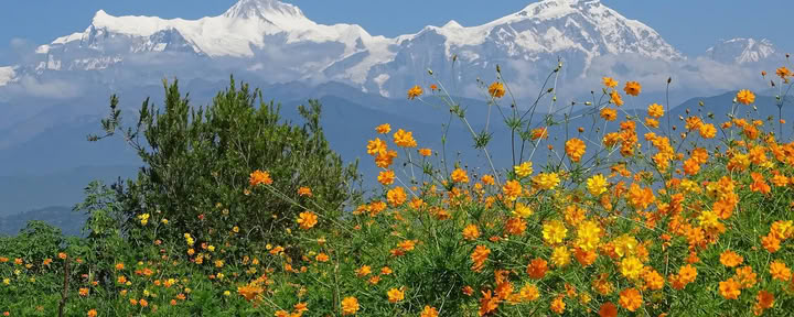 Campo Base dell'Annapurna