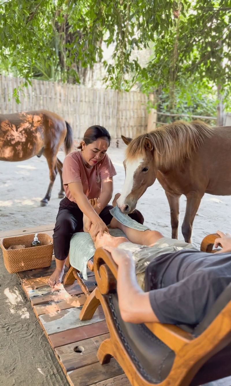 Passeggiata a cavallo