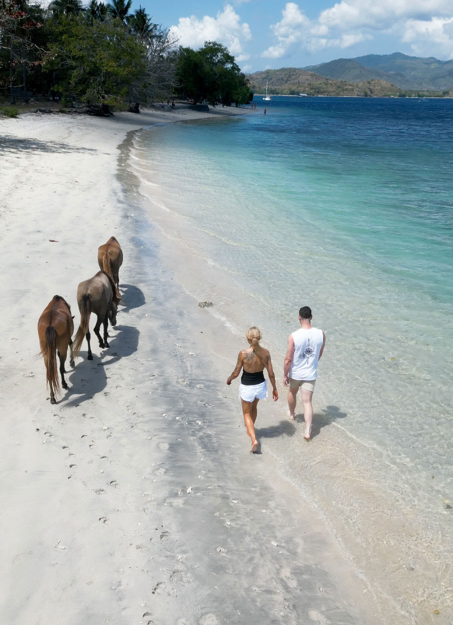 Passeggiata a cavallo