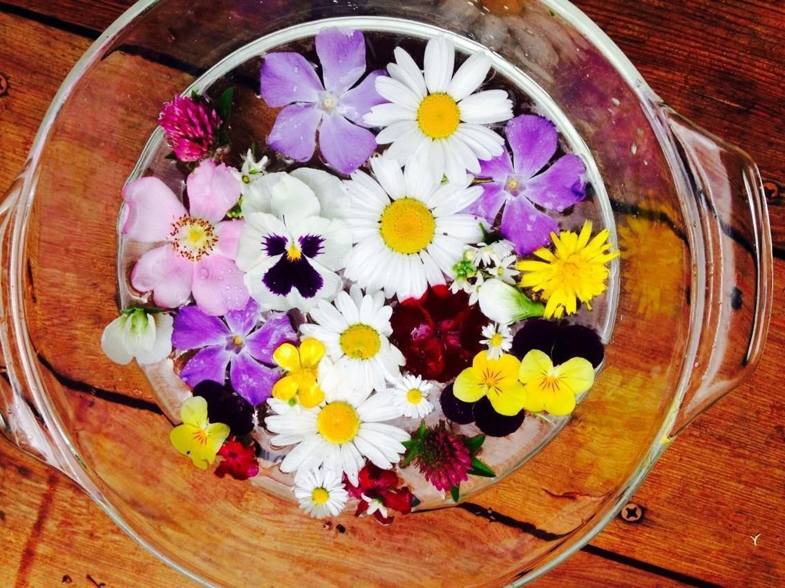 Purificazione Comunitaria Ayurvedica