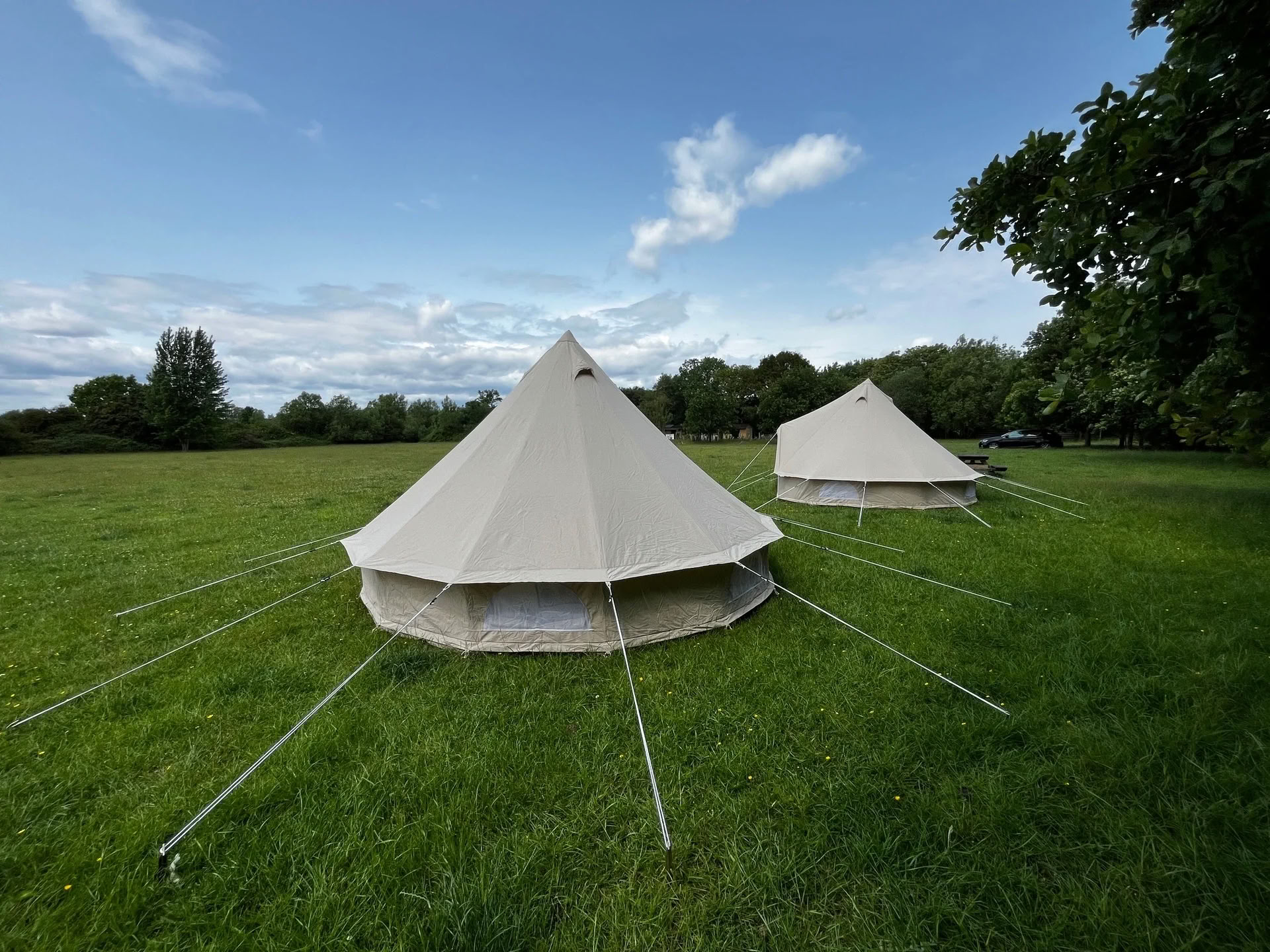Festival Worthy Earth — ritiro enwild