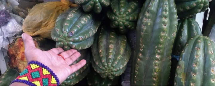 Cerimonia di San Pedro