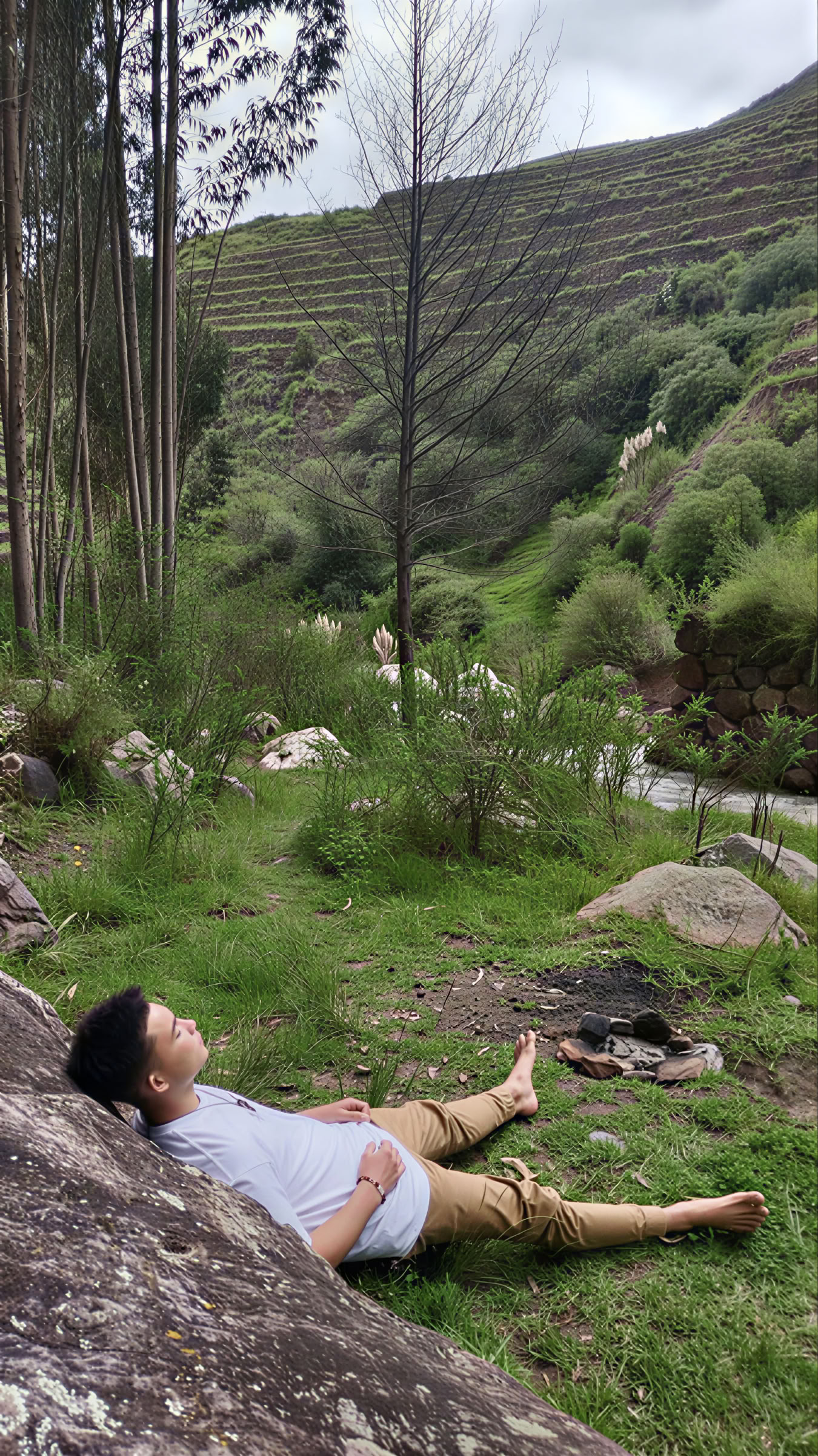 Cerimonia di Ayahuasca