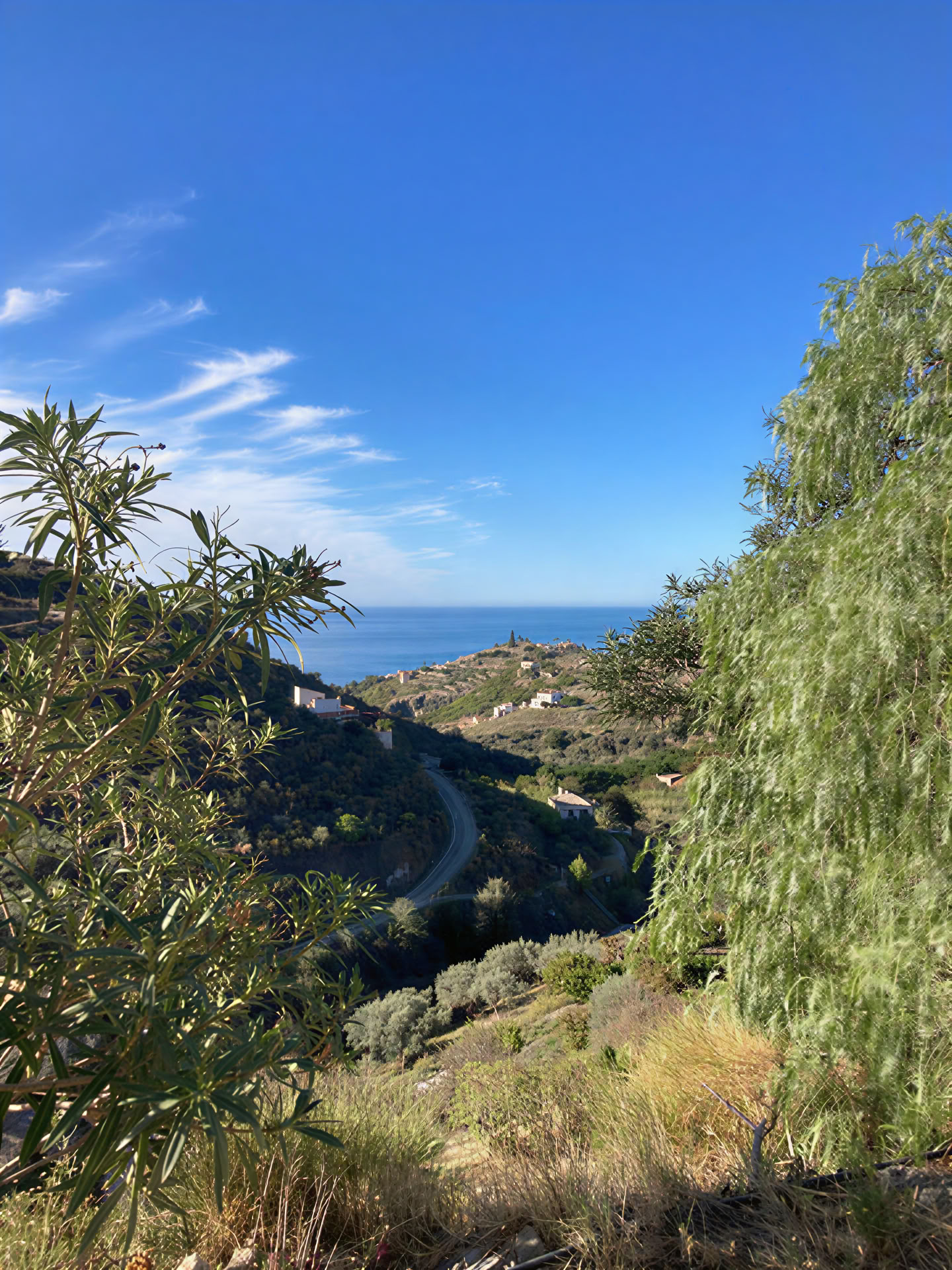 Camminare e Benessere